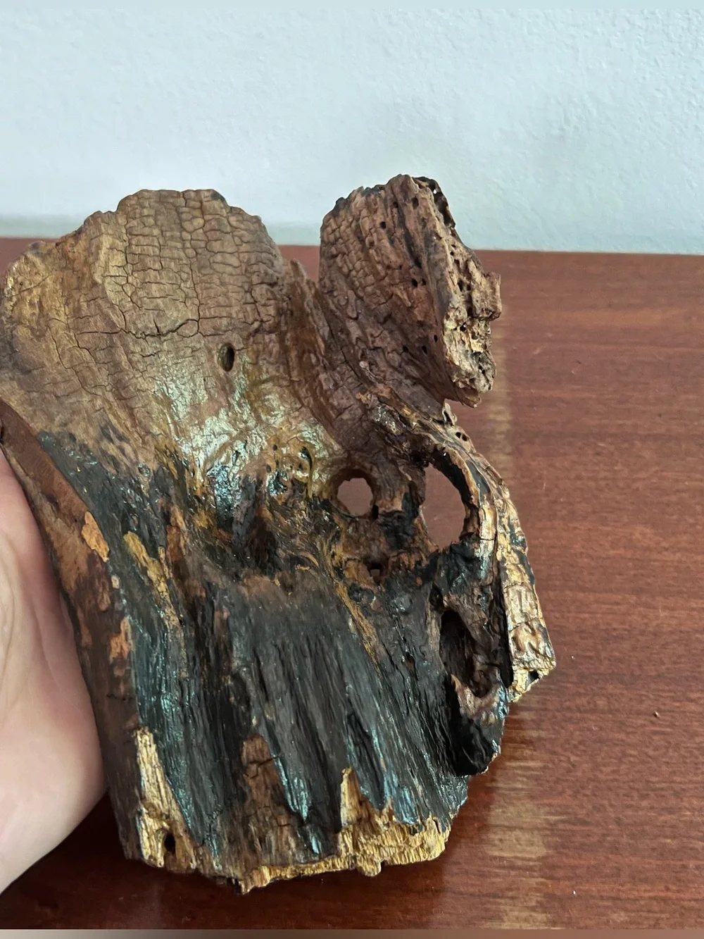 Natural Driftwood Hide for Reptile & Invertebrate Terrariums